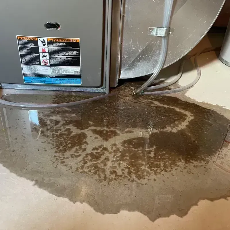 Appliance Leak Cleanup in Utica, NY